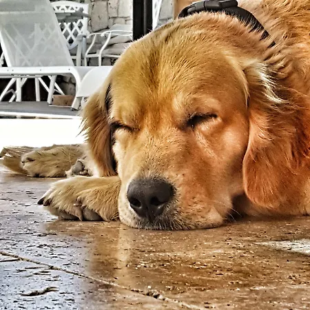 阿拉恰特佩里梅尔酒店 阿拉恰特