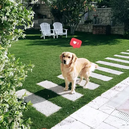 فندق Peremere 3*