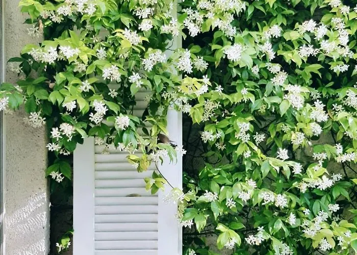 Hotel Peremere Alaçatı